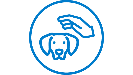 Icon hand touching a dog