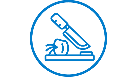 Icon food processing