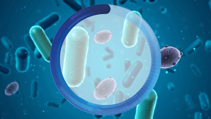 Join us for this free webinar about synbiotic cleaning.