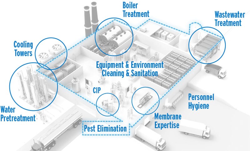 Dairy Plant