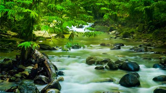 Clean Water Stream