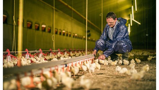 Imagery Landing Page Avi Prime