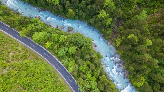 Road alongside river in a forest.